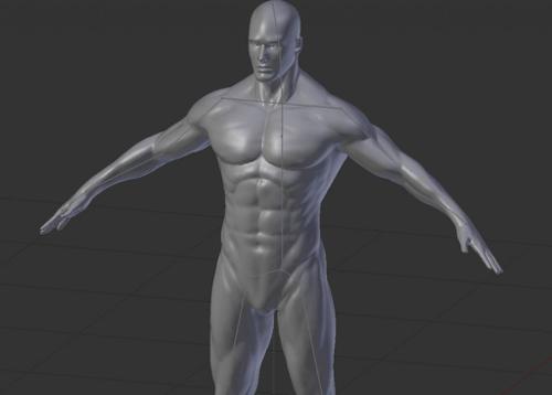Human Male Base Mesh with armature preview image